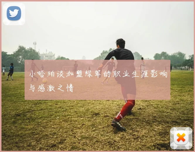 小哈珀谈加盟绿军的职业生涯影响与感激之情